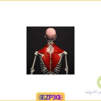 دانلود اپلیکیشن Anatomy by Muscle & Motion برنامه آناتومی بدن و عضلات برای اندروید