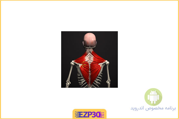 دانلود اپلیکیشن Anatomy by Muscle & Motion برنامه آناتومی بدن و عضلات برای اندروید